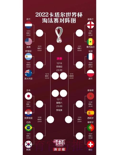 世界杯比分与排名全景解析